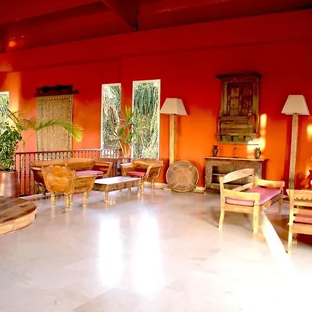Oasis Papagayo Sport Κοραλέχο